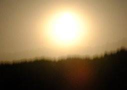 Image canicule